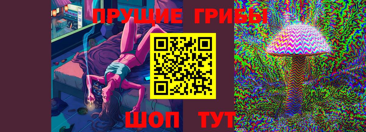 Галлюциногенные грибы Psilocybe Ипатово